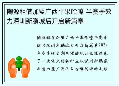 陶源租借加盟广西平果哈嘹 半赛季效力深圳新鹏城后开启新篇章